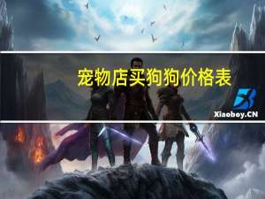 宠物店买狗狗价格表