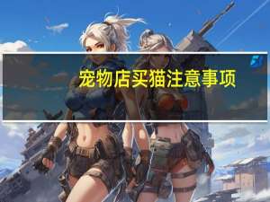 宠物店买猫注意事项