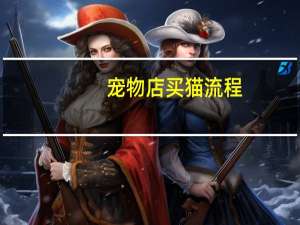 宠物店买猫流程
