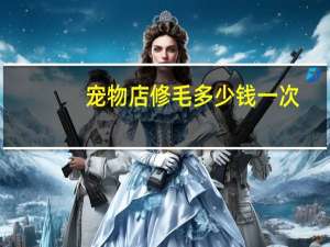宠物店修毛多少钱一次