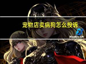 宠物店卖病狗怎么投诉