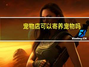 宠物店可以寄养宠物吗