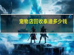 宠物店回收泰迪多少钱