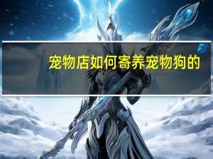 宠物店如何寄养宠物狗的