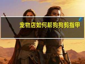 宠物店如何帮狗狗剪指甲