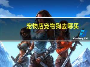 宠物店宠物狗去哪买