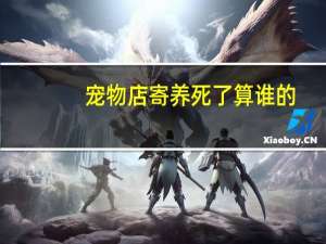 宠物店寄养死了算谁的