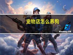 宠物店怎么养狗
