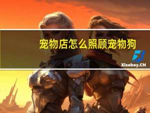 宠物店怎么照顾宠物狗