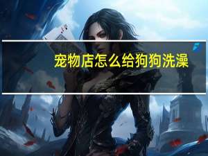 宠物店怎么给狗狗洗澡