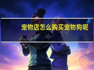 宠物店怎么购买宠物狗呢