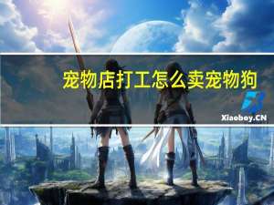 宠物店打工怎么卖宠物狗