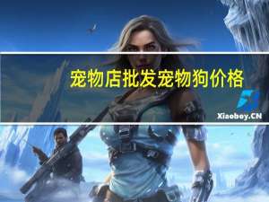 宠物店批发宠物狗价格
