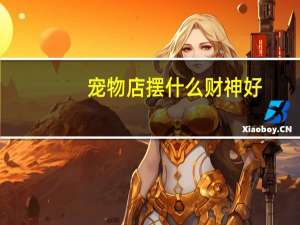 宠物店摆什么财神好
