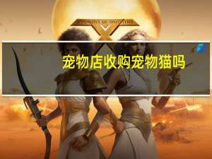 宠物店收购宠物猫吗