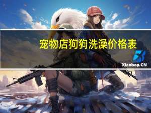 宠物店狗狗洗澡价格表