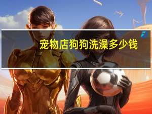 宠物店狗狗洗澡多少钱