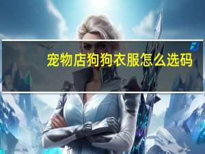宠物店狗狗衣服怎么选码