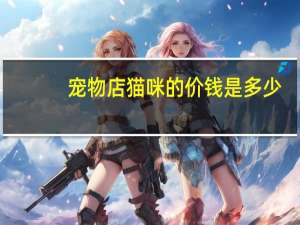 宠物店猫咪的价钱是多少