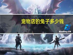 宠物店的兔子多少钱