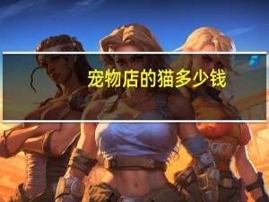 宠物店的猫多少钱
