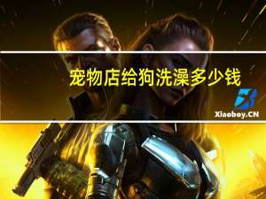 宠物店给狗洗澡多少钱