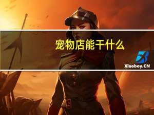 宠物店能干什么