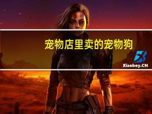 宠物店里卖的宠物狗
