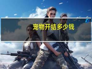 宠物开结多少钱