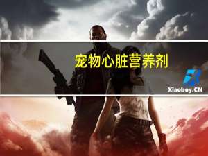 宠物心脏营养剂