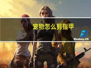 宠物怎么剪指甲