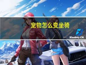 宠物怎么变坐骑
