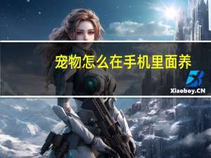 宠物怎么在手机里面养