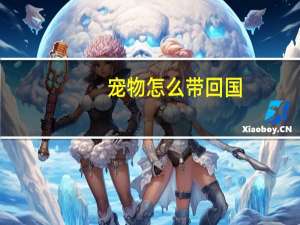 宠物怎么带回国