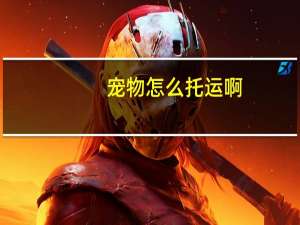 宠物怎么托运啊