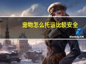 宠物怎么托运比较安全