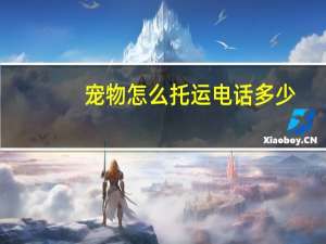 宠物怎么托运电话多少