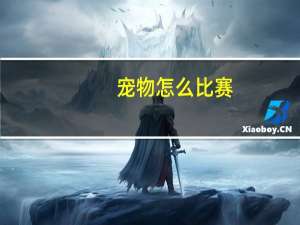 宠物怎么比赛