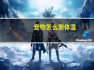 宠物怎么测体温
