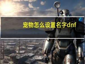 宠物怎么设置名字dnf