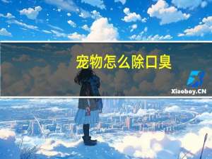 宠物怎么除口臭