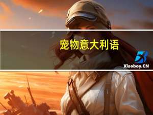 宠物意大利语