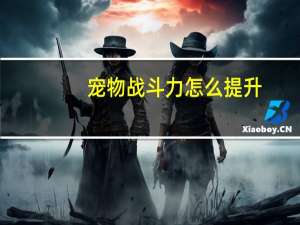 宠物战斗力怎么提升