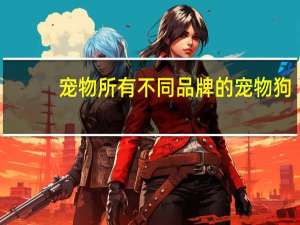 宠物所有不同品牌的宠物狗