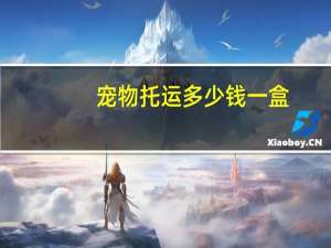 宠物托运多少钱一盒