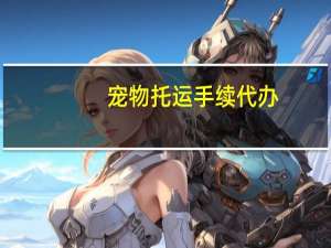 宠物托运手续代办
