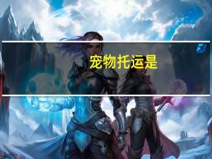 宠物托运是