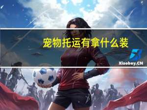 宠物托运有拿什么装