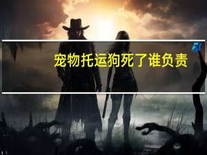 宠物托运狗死了谁负责