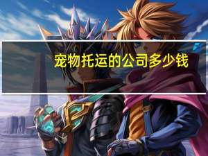 宠物托运的公司多少钱